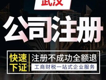 一站式企業服務 蔡甸區公司注冊、代理記賬與一對一診斷